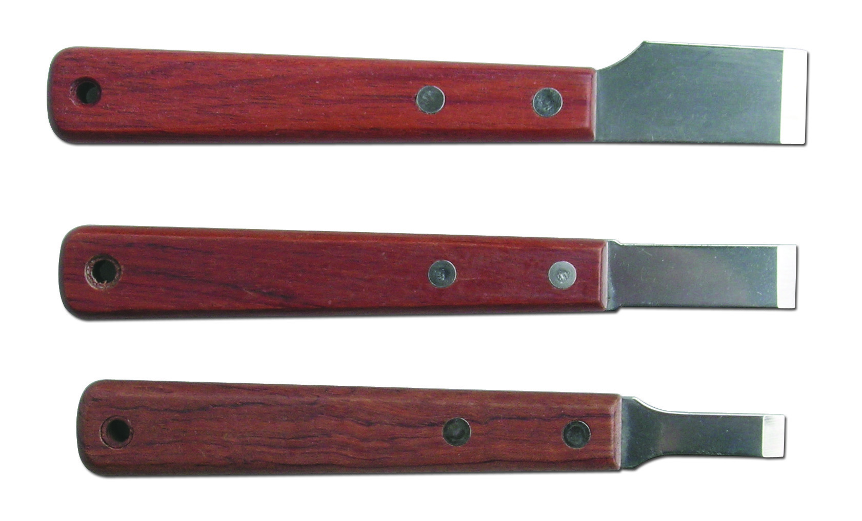Stainless Steel Scraper
